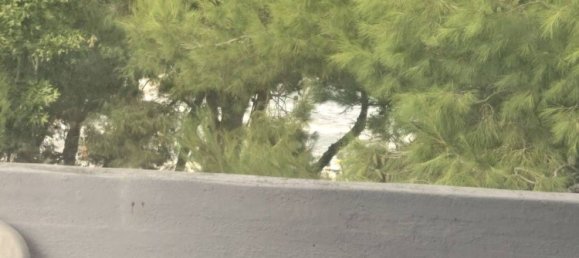 5 غرف نوم شقة في Martinsicuro, Italy رقم 324174 41