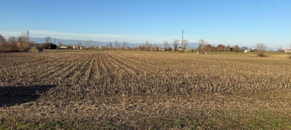 Villa de 4 dormitorios en Camisano Vicentino, Italy No. 120598 32