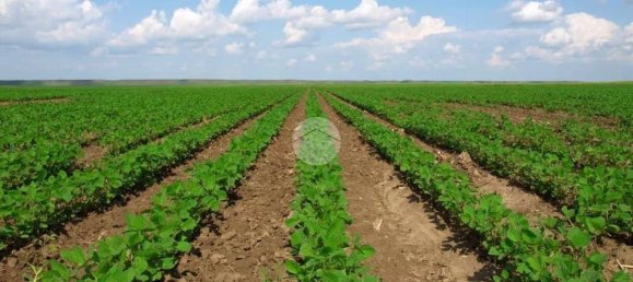 32500m² Land in Saonara, Italy No. 289559 2