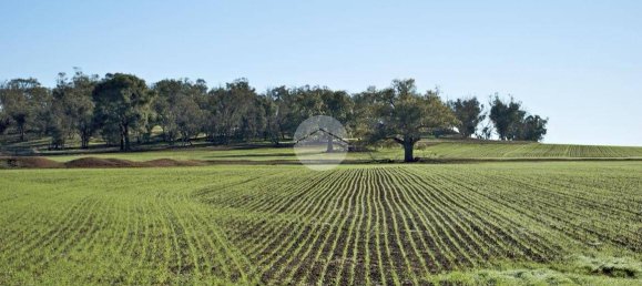 32500m² Land in Saonara, Italy No. 289559 3