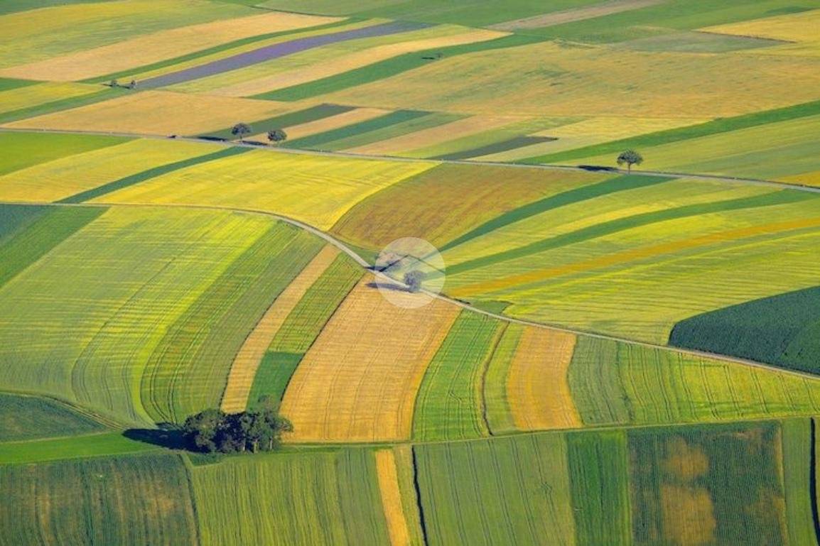 32500m² Land in Saonara, Italy No. 289559