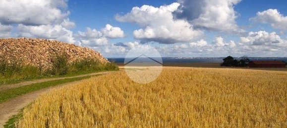 32500m² Land in Saonara, Italy No. 289559 5