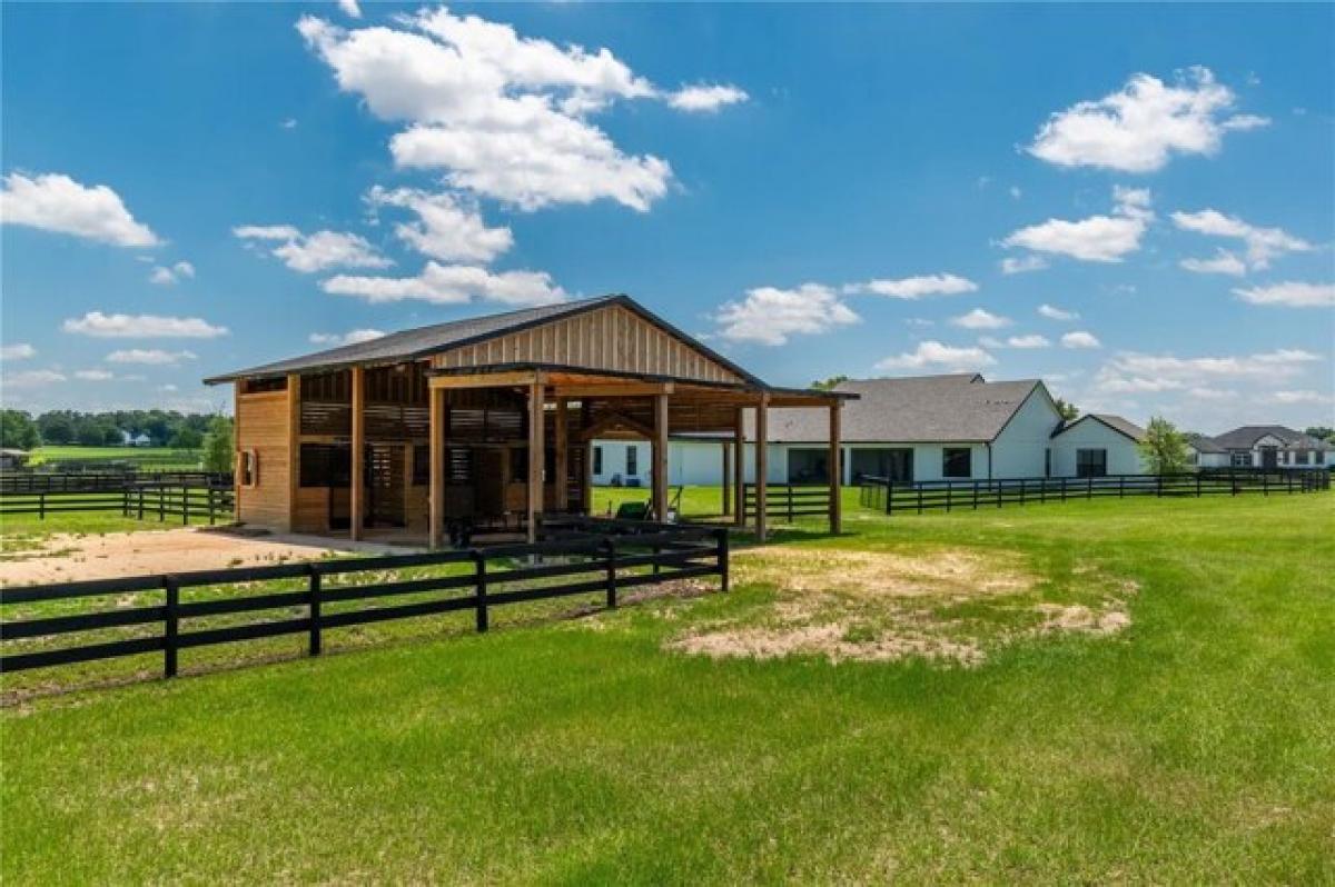 4 bedrooms House in Ocala, USA No. 382987