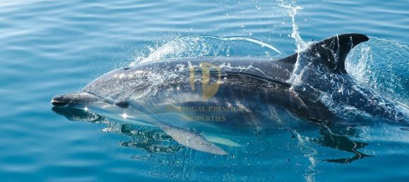 Terreno en Albufeira, Portugal No. 103145 12