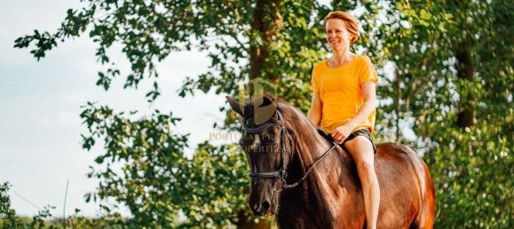 Terreno en Albufeira, Portugal No. 103145 11