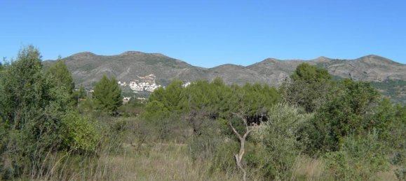 14502m² Land in Jalon, Spain No. 153652 9
