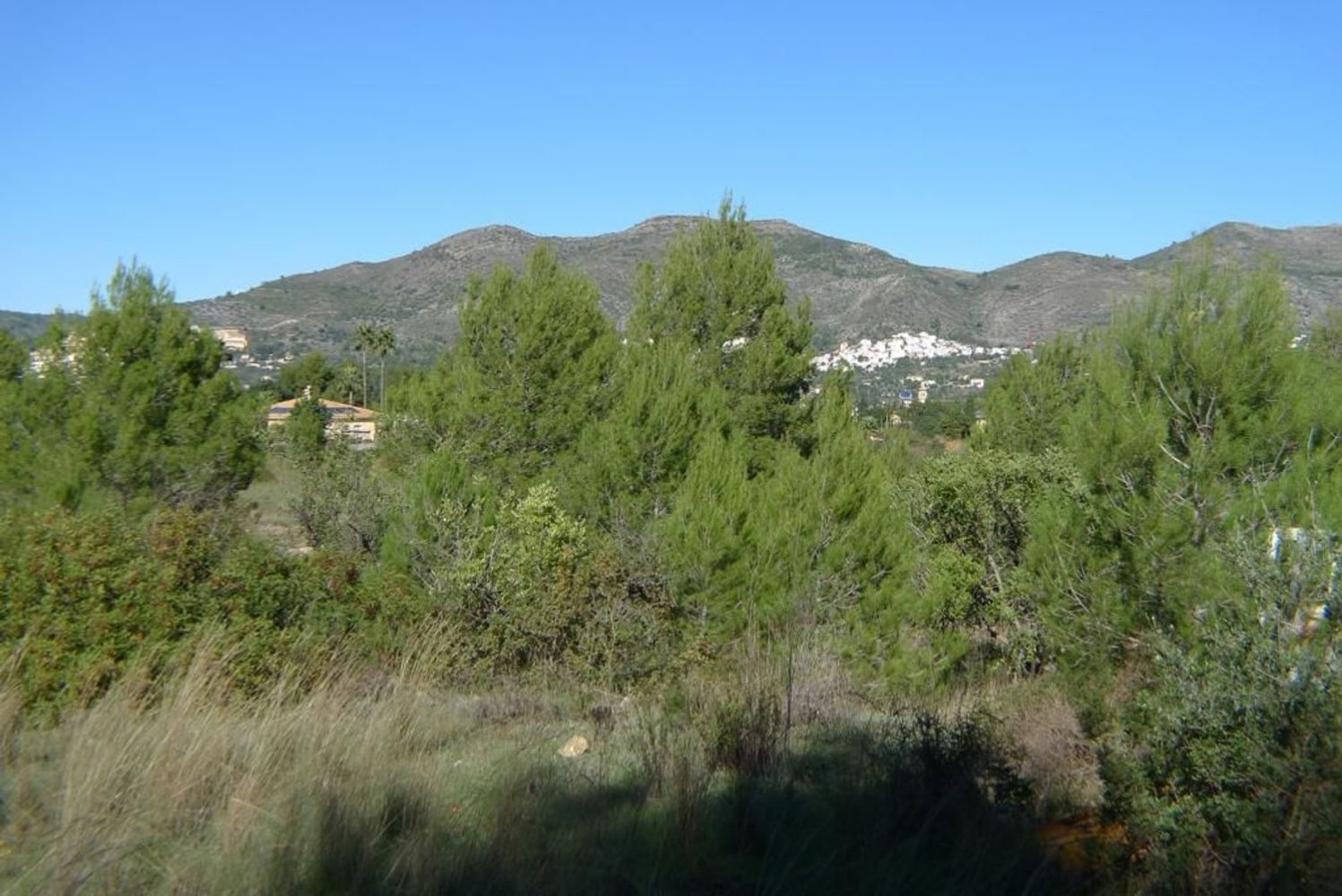 14502m² Land in Jalon, Spain No. 153652