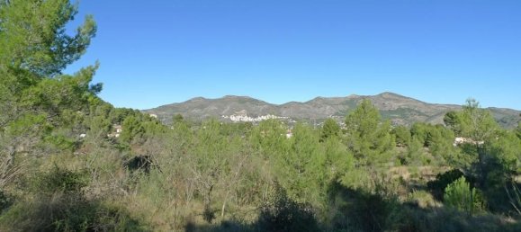 14502m² Land in Jalon, Spain No. 153652 11