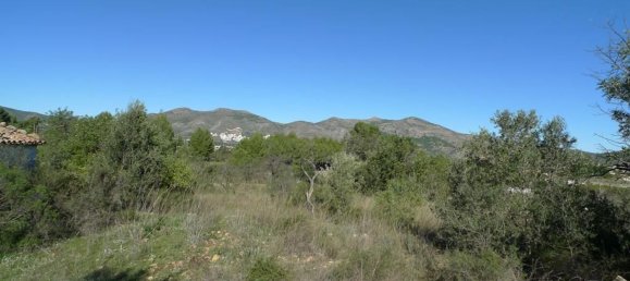 14502m² Land in Jalon, Spain No. 153652 8