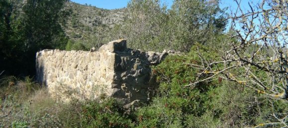 14502m² Land in Jalon, Spain No. 153652 6