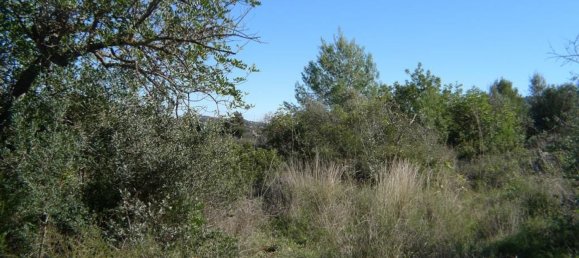 14502m² Land in Jalon, Spain No. 153652 5