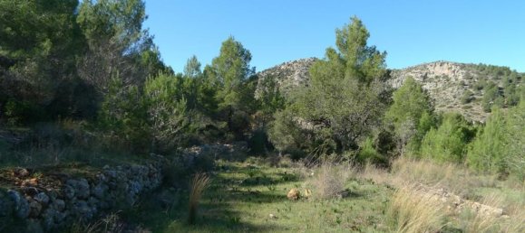 14502m² Land in Jalon, Spain No. 153652 3