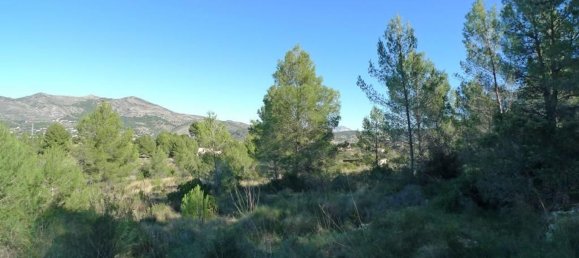 14502m² Land in Jalon, Spain No. 153652 10