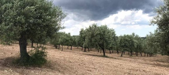 Grundstück in Noto, Italy 80000m², Nr. 284256 8