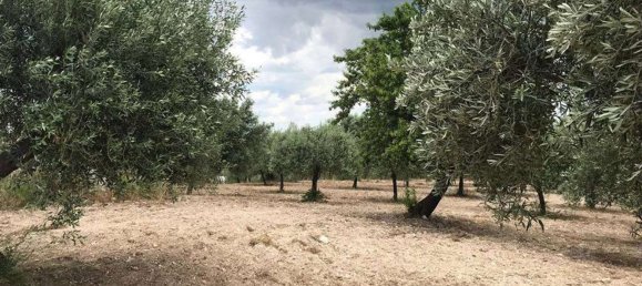 Grundstück in Noto, Italy 80000m², Nr. 284256 4