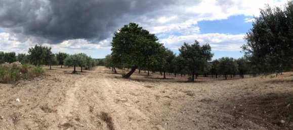 Grundstück in Noto, Italy 80000m², Nr. 284256 11