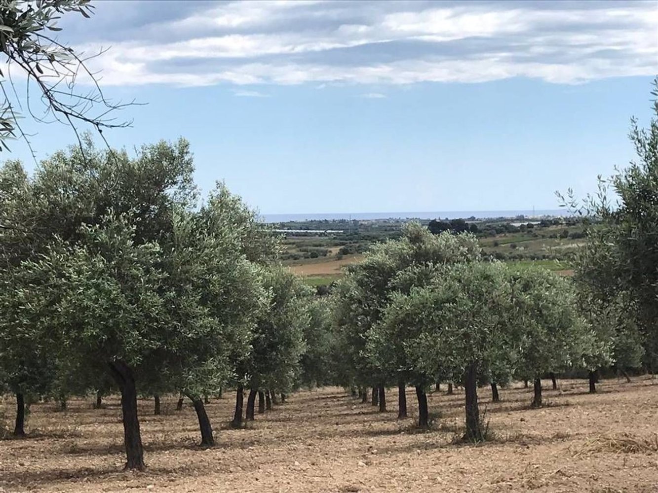 Grundstück in Noto, Italy 80000m², Nr. 284256