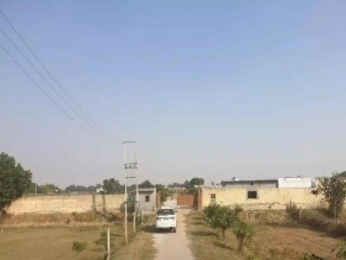  Land in Faridabad, India No. 32508