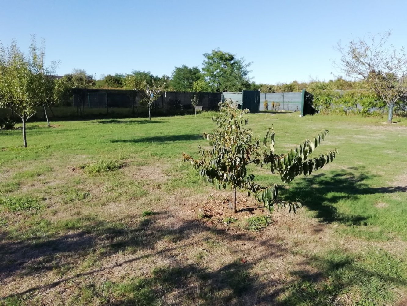 Grundstück in Busto Arsizio, Italy, Nr. 383524