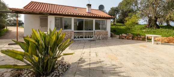 استوديو في Portimao, Portugal رقم 7600 5