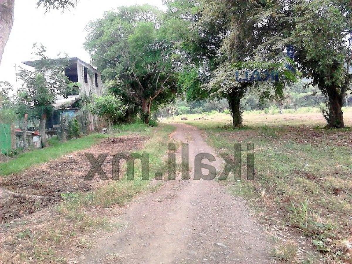  Land in Veracruz, Mexico No. 206087