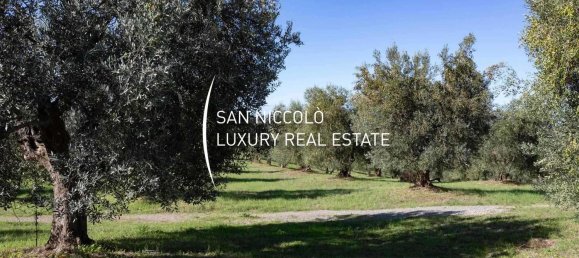 30 rooms House in Magliano in Toscana, Italy No. 195287 14