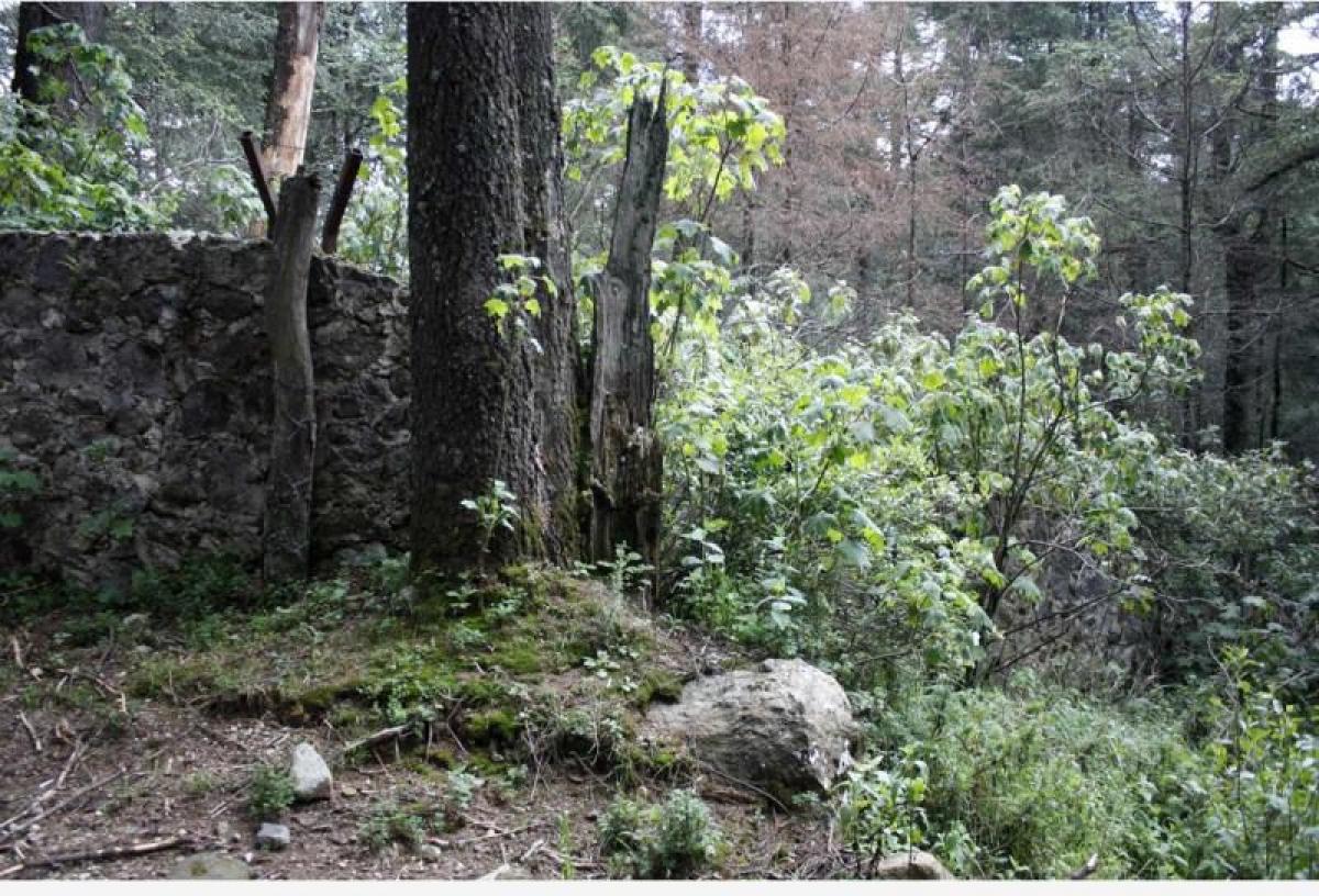 Земельный участок в Наукальпан де Хуарес, Мексика № 205181