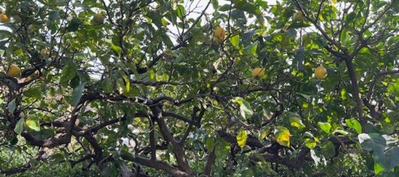 Apartamento de 2 divisões em Andora, Italy N.º 110614 23