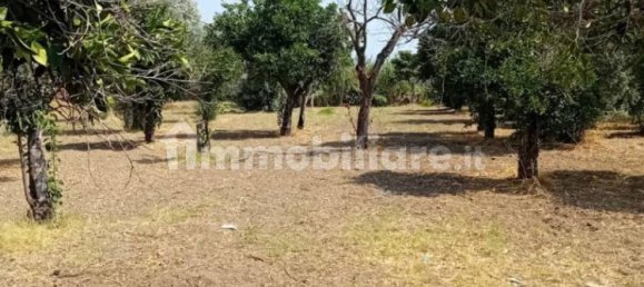  قطعة أرض في Ardore, Italy 1718متر مربع رقم 343600 7