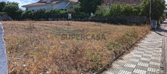 Land in Ilhavo, Portugal No. 283342 10