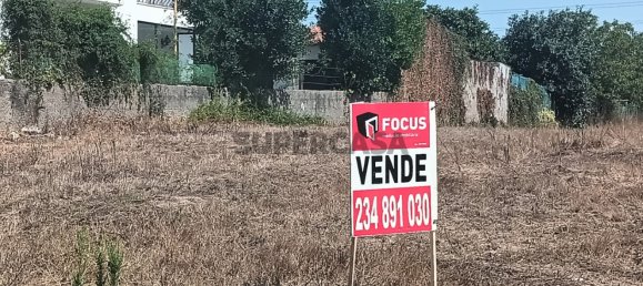 Land in Ilhavo, Portugal No. 283342 5