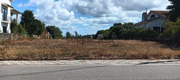 Land in Ilhavo, Portugal No. 283342 18