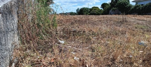 Land in Ilhavo, Portugal No. 283342 16