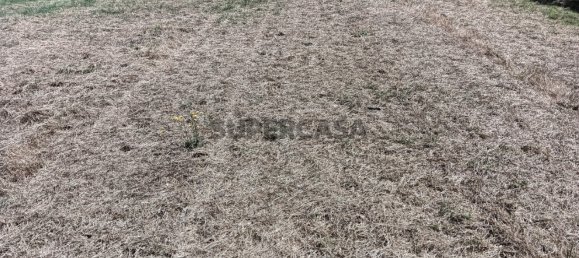 Land in Ilhavo, Portugal No. 283342 2