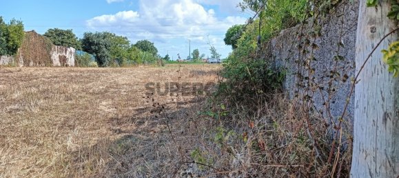 Land in Ilhavo, Portugal No. 283342 7