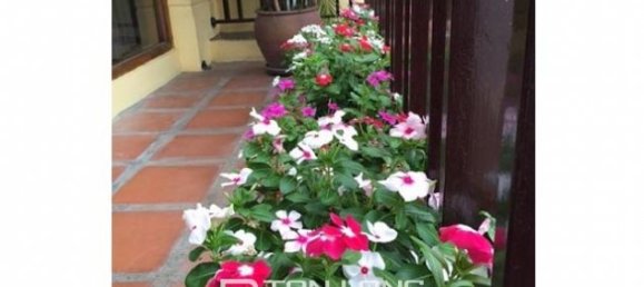 2 bedrooms Apartment in Tay Ho, Vietnam No. 3284 3