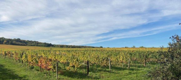 Apartamento de 3 divisões em Vienna, Austria N.º 169843 13