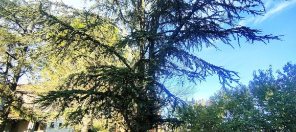 Casa de 10 divisões em Castel Bolognese, Italy N.º 20545 15