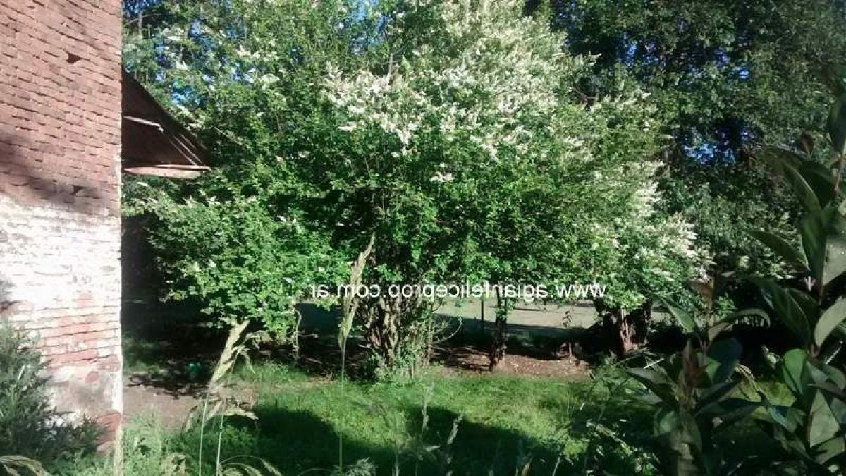 Grundstück in Buenos Aires, Argentina, Nr. 119263