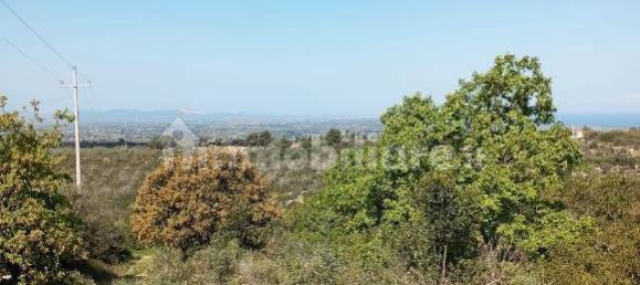  قطعة أرض في Sassari, Italy 47079متر مربع رقم 353711 16