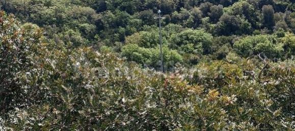  قطعة أرض في Sassari, Italy 47079متر مربع رقم 353711 4