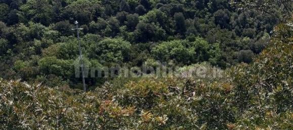  قطعة أرض في Sassari, Italy 47079متر مربع رقم 353711 3