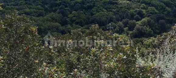  قطعة أرض في Sassari, Italy 47079متر مربع رقم 353711 10