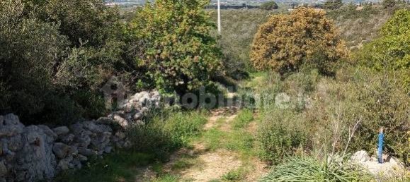  قطعة أرض في Sassari, Italy 47079متر مربع رقم 353711 17