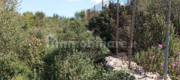  قطعة أرض في Sassari, Italy 47079متر مربع رقم 353711 18