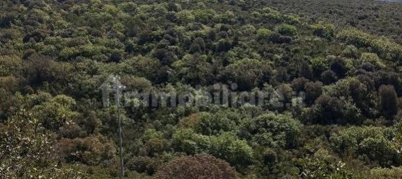  قطعة أرض في Sassari, Italy 47079متر مربع رقم 353711 2