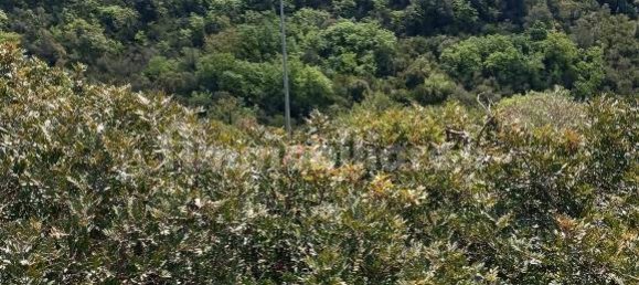  قطعة أرض في Sassari, Italy 47079متر مربع رقم 353711 6