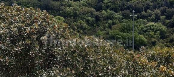  قطعة أرض في Sassari, Italy 47079متر مربع رقم 353711 5