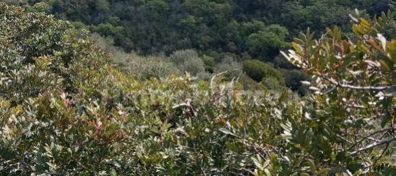  قطعة أرض في Sassari, Italy 47079متر مربع رقم 353711 8