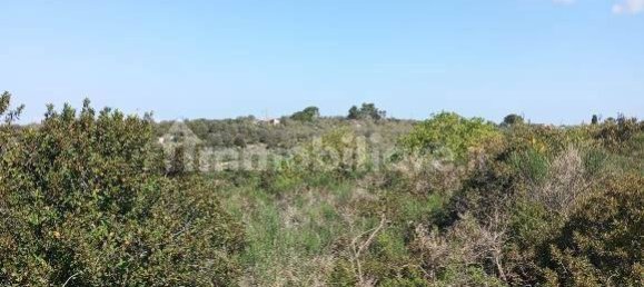  قطعة أرض في Sassari, Italy 47079متر مربع رقم 353711 12